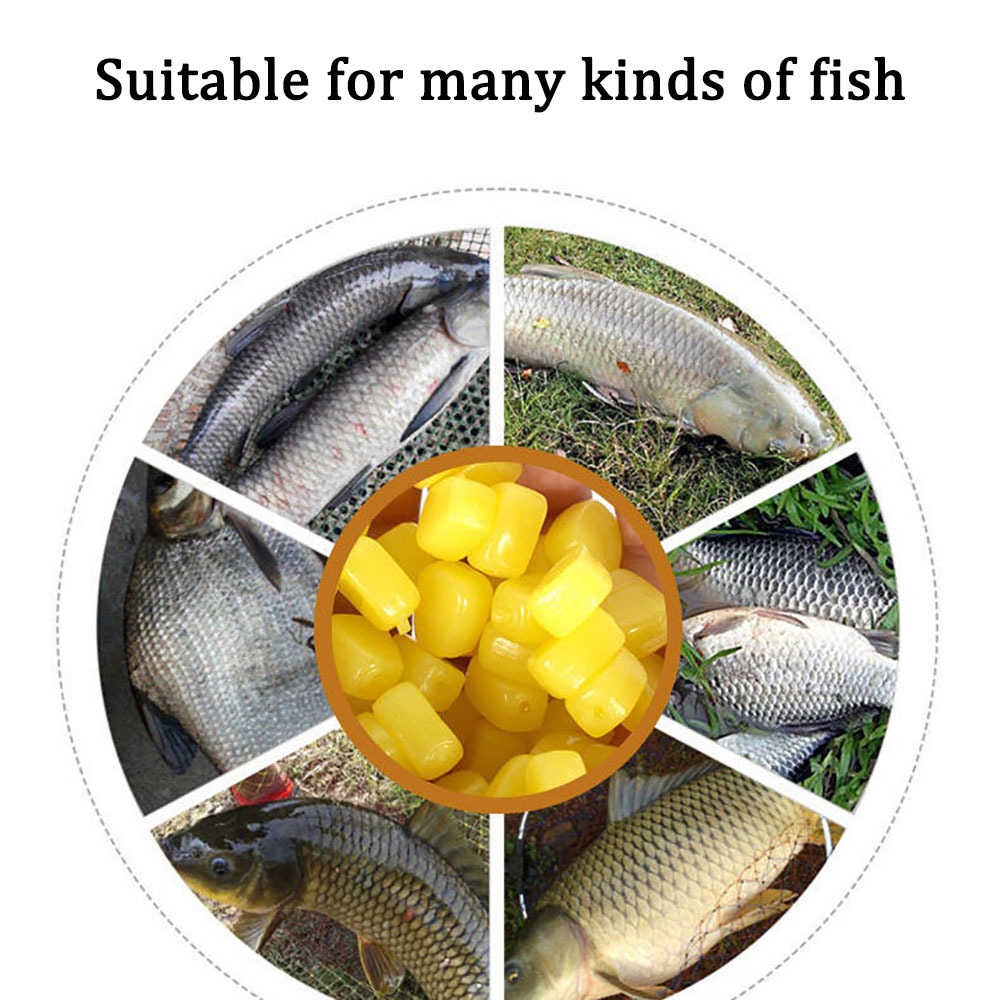 100 Stück Silikon-Mais-Geruch, – Fishing Lure Topwater Bewertung und Preis